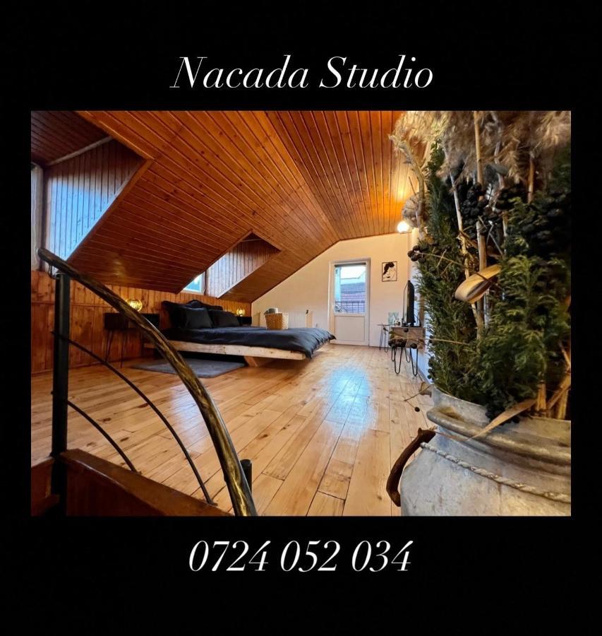Апартаменты Nacada Studio By Hyco Сигишоара Экстерьер фото